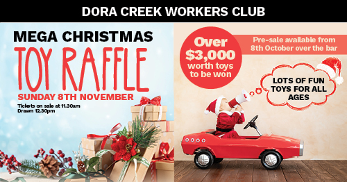 Mega Christmas Toy Raffle
